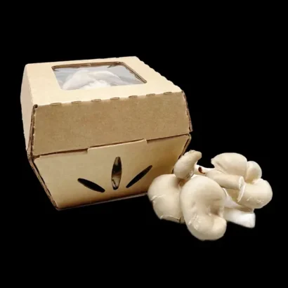 Custom Packaging USA, Custom Printed Boxes - Cardboard Mushroom Boxes
