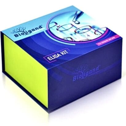 Custom Packaging USA, Custom Printed Boxes - Rigid Medical Device Boxes