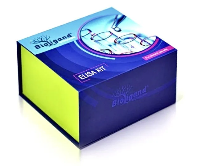 Rigid Medical Device Boxes | Commercial Grade & Precision Fit